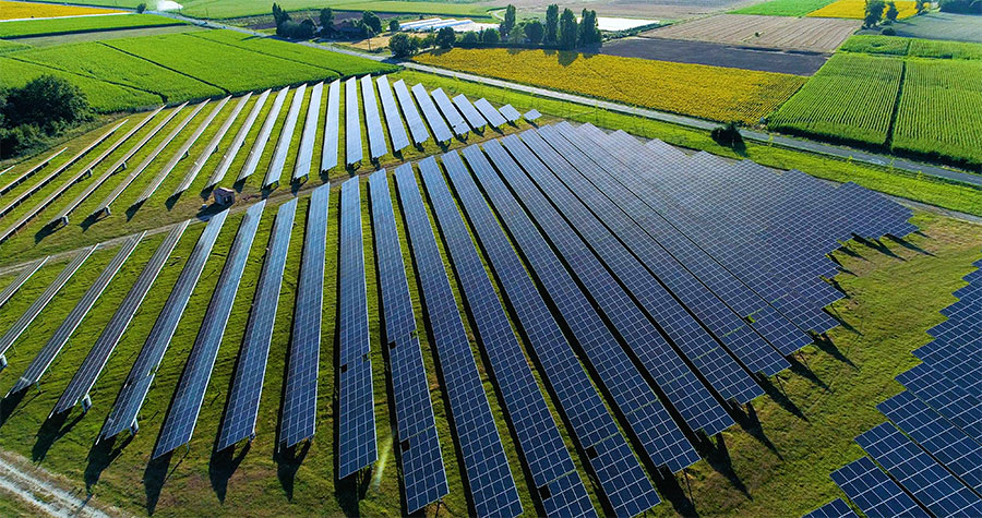 Field full of solar panels